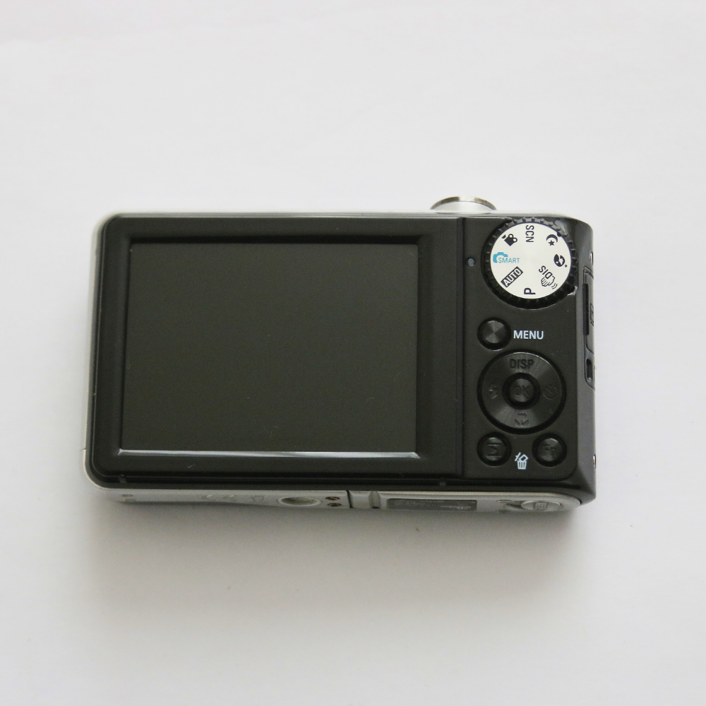 Samsung PL100