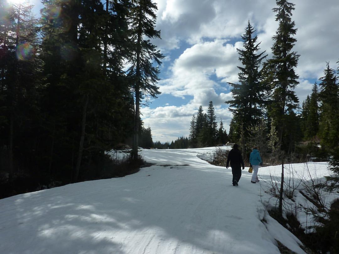 Panasonic LUMIX DMC-ZS35