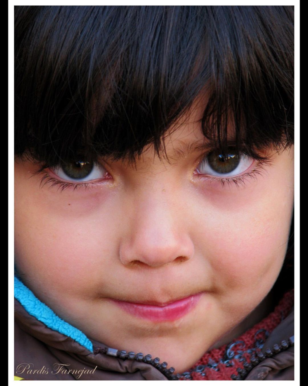 Canon PowerShot S5 IS