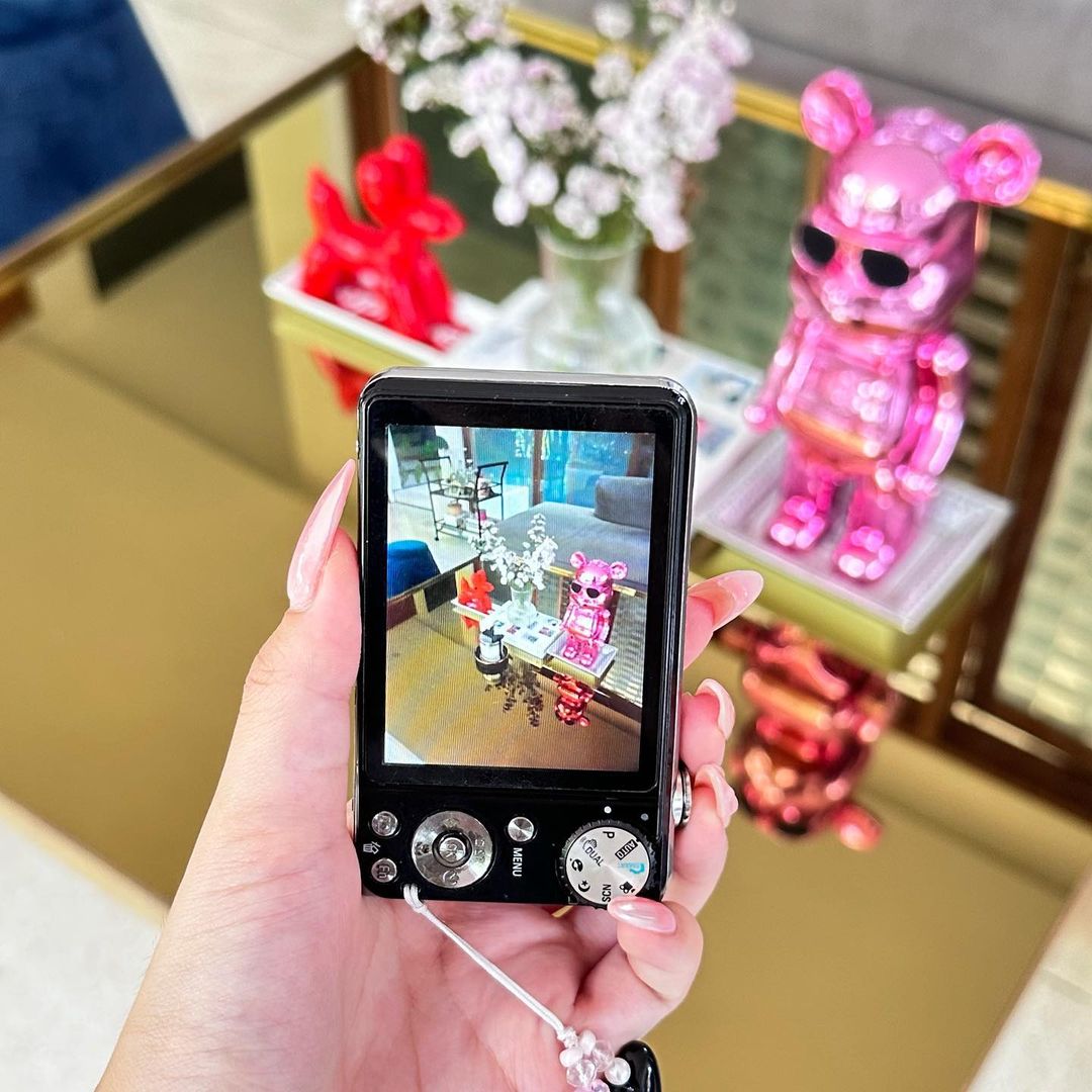 Samsung PL150 Selfie