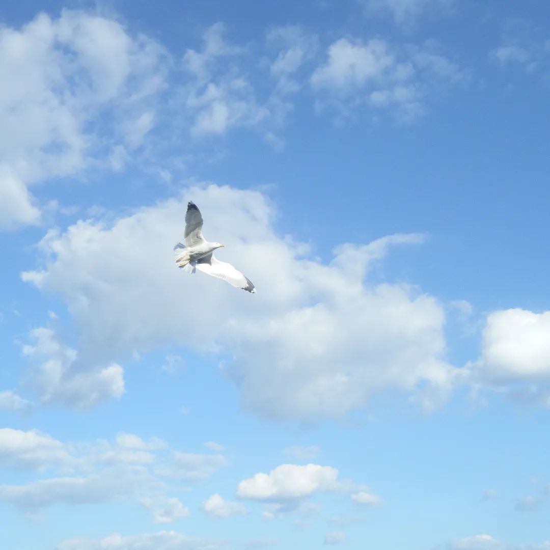 FUJIFILM Z30