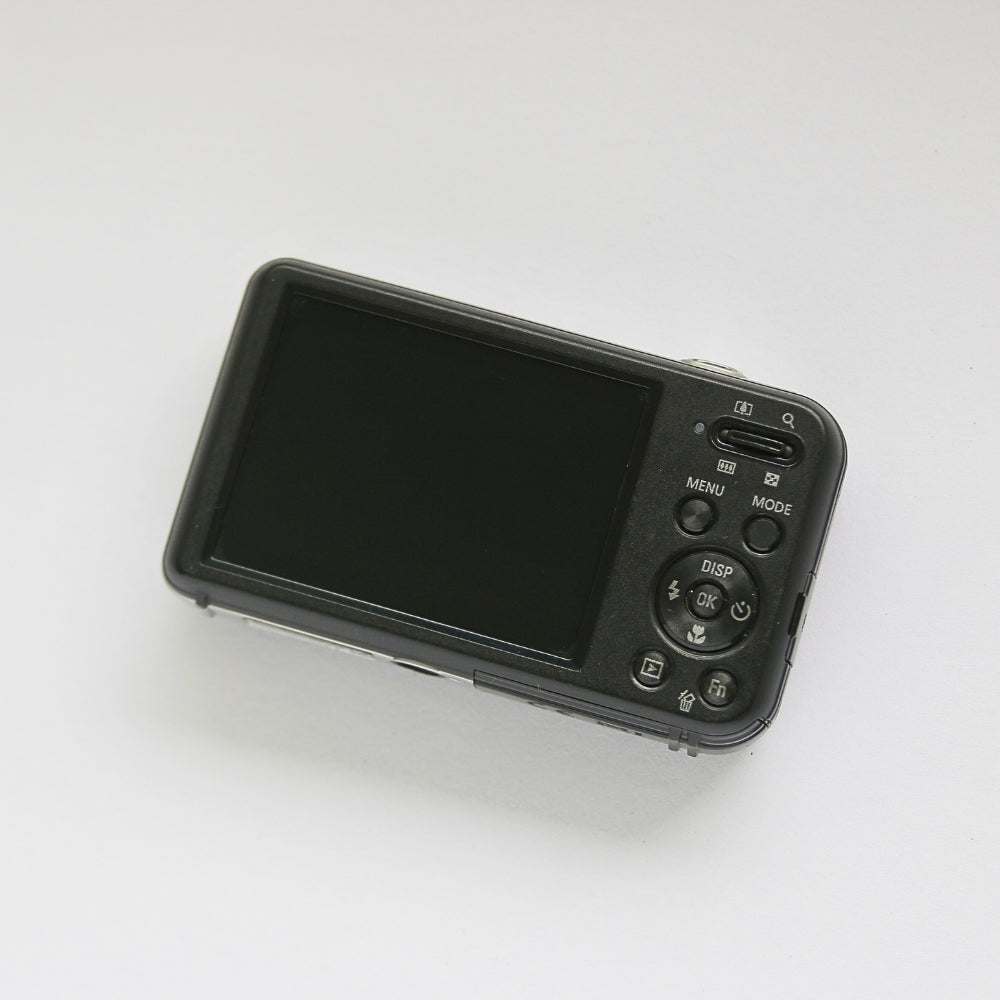 SAMSUNG PL120 Selfie