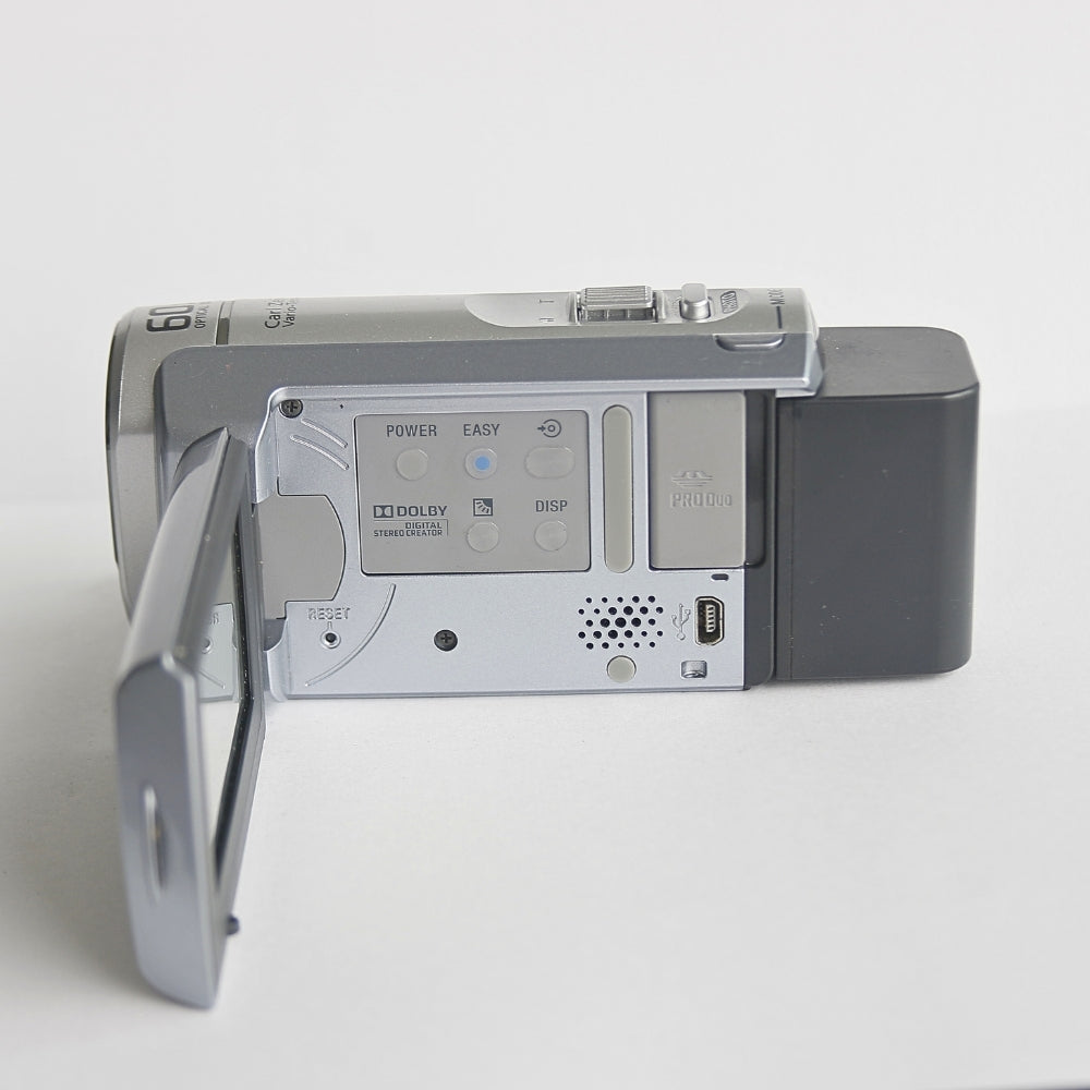 Sony Handycam DSR-SX60