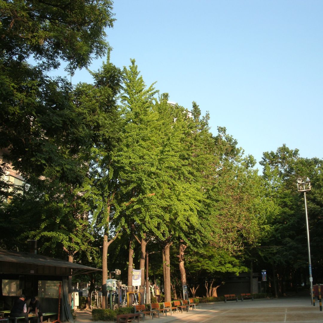 GE A1050