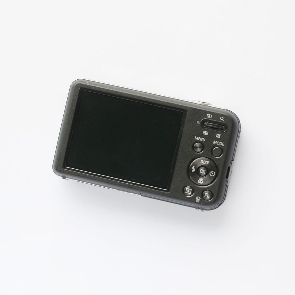 SAMSUNG PL120 Selfie