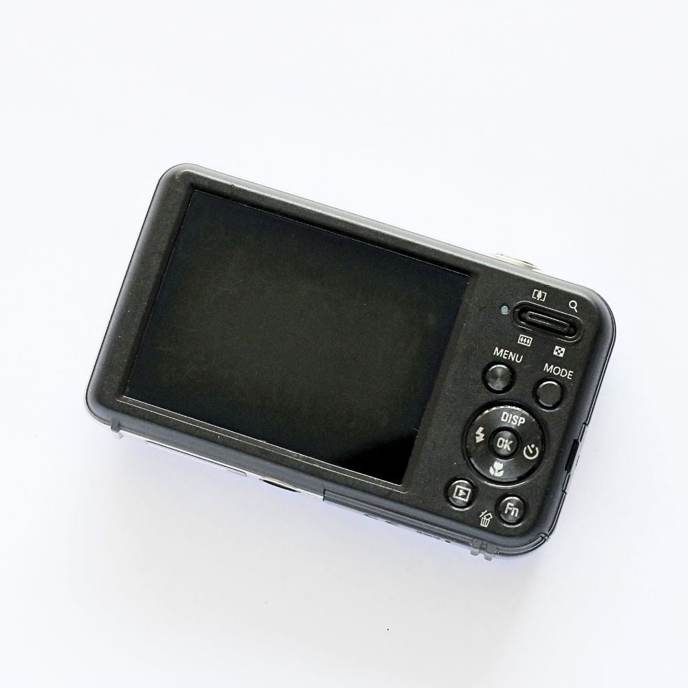 SAMSUNG PL120 Selfie