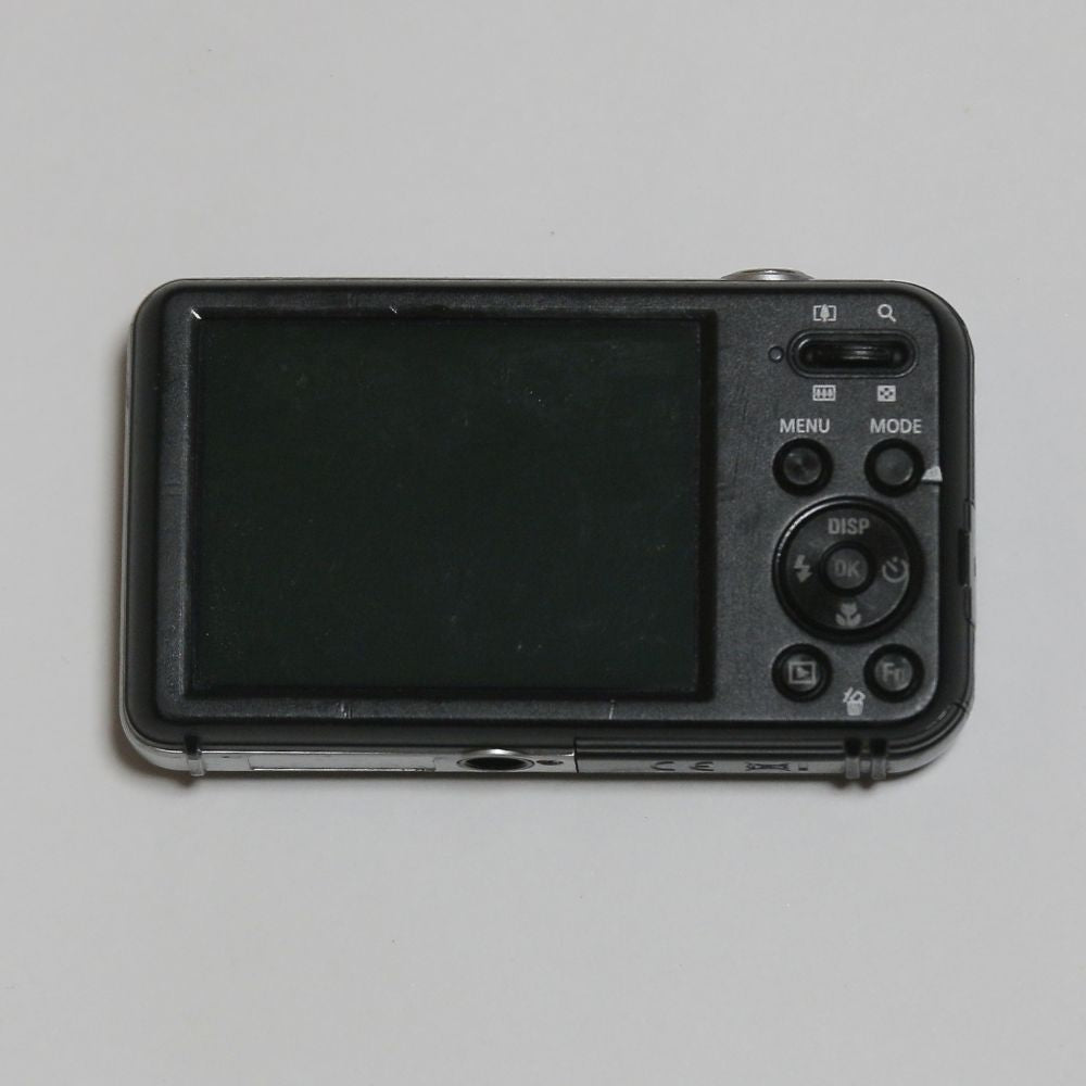 SAMSUNG PL120 Selfie