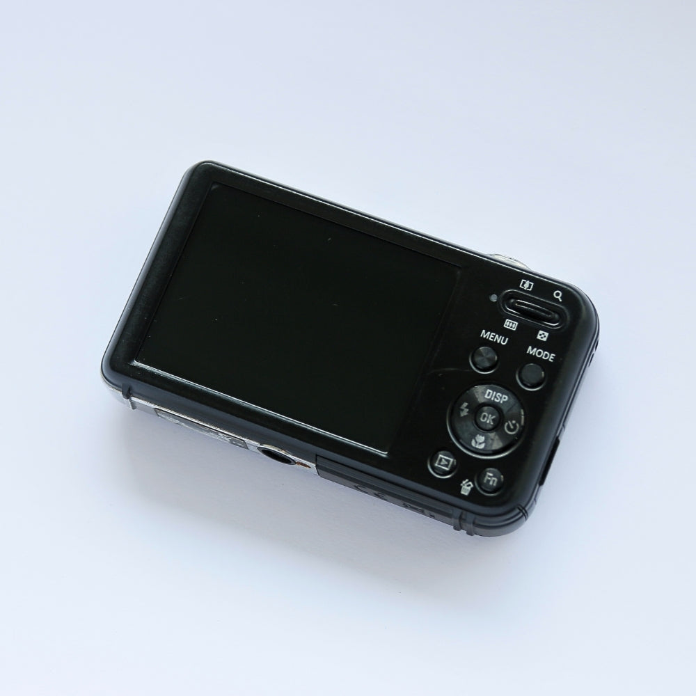 SAMSUNG PL120 Selfie