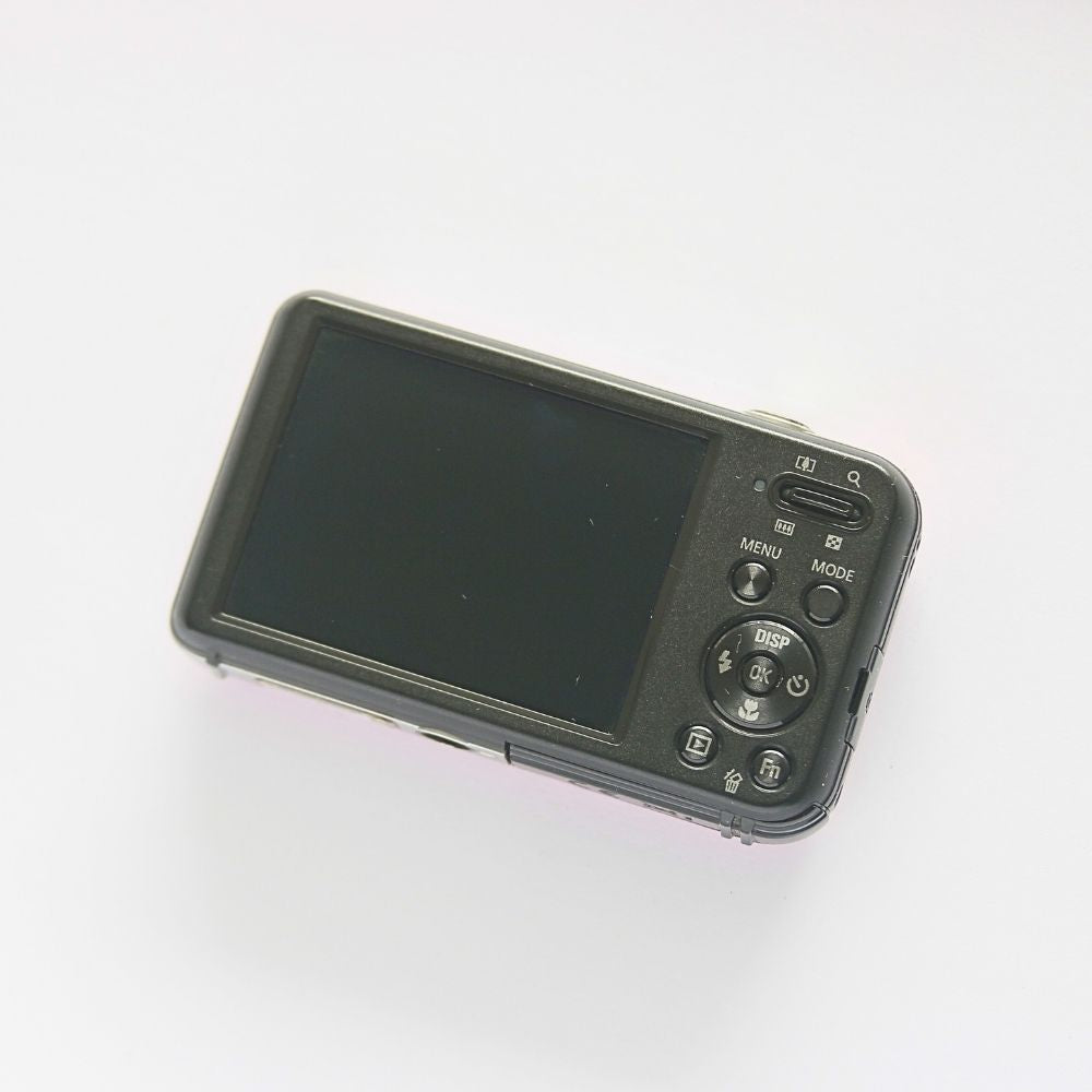 SAMSUNG PL120 Selfie