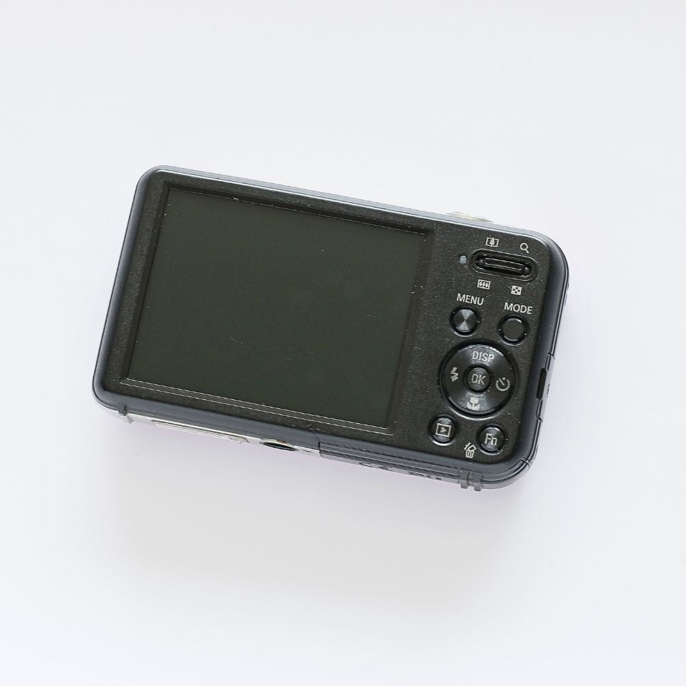 SAMSUNG PL120 Selfie