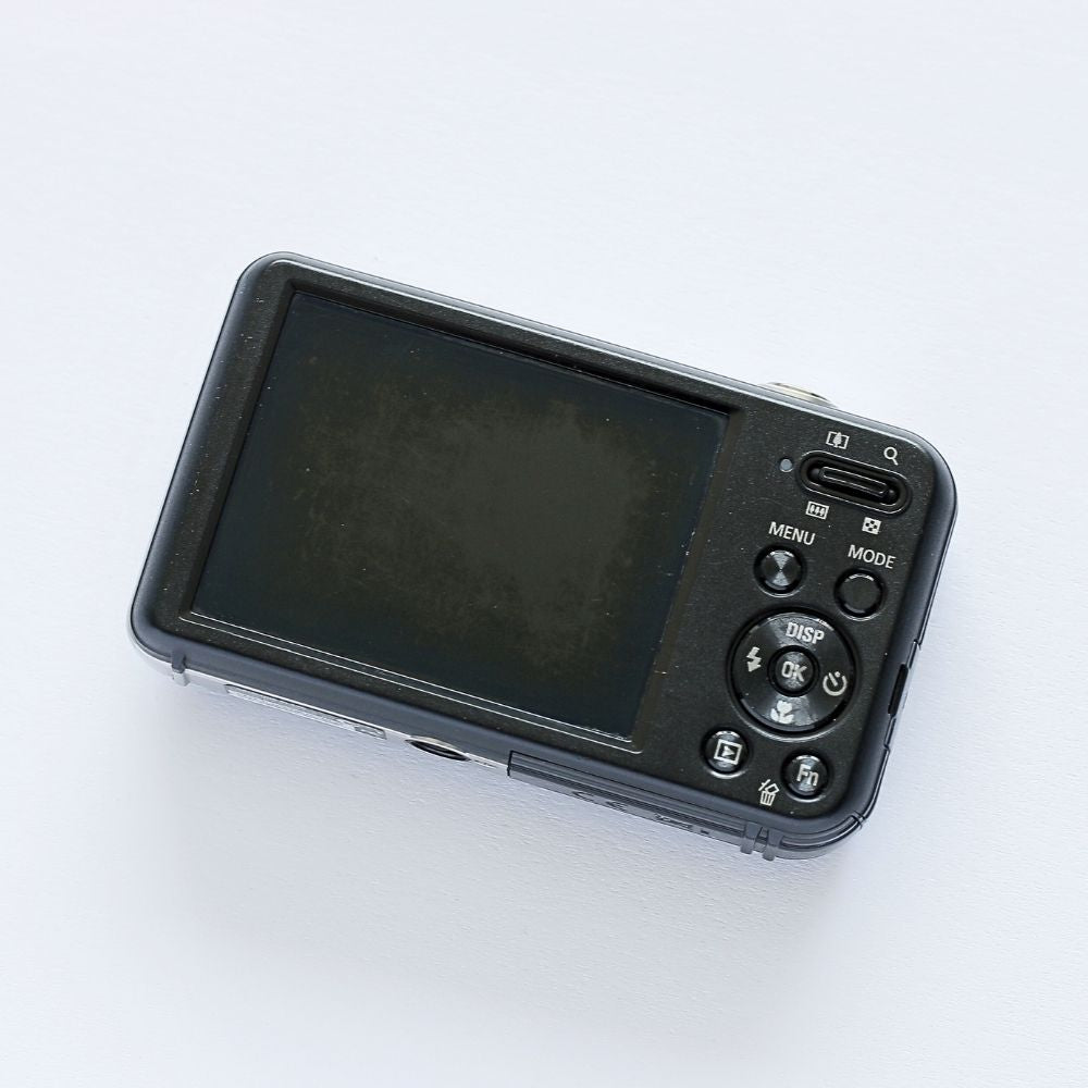 SAMSUNG PL120 Selfie