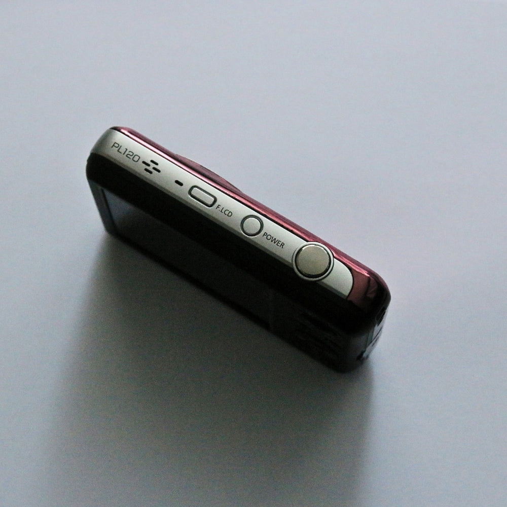 SAMSUNG PL120 Selfie