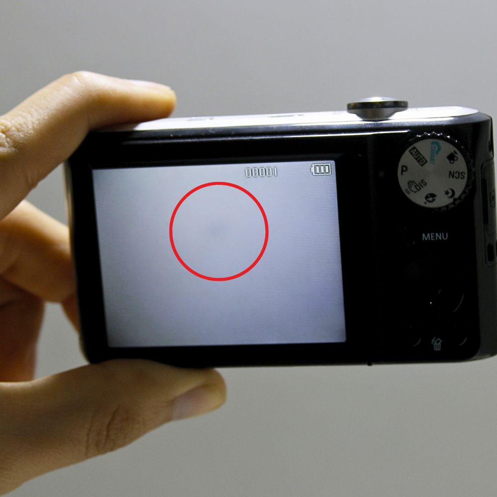 Samsung PL100