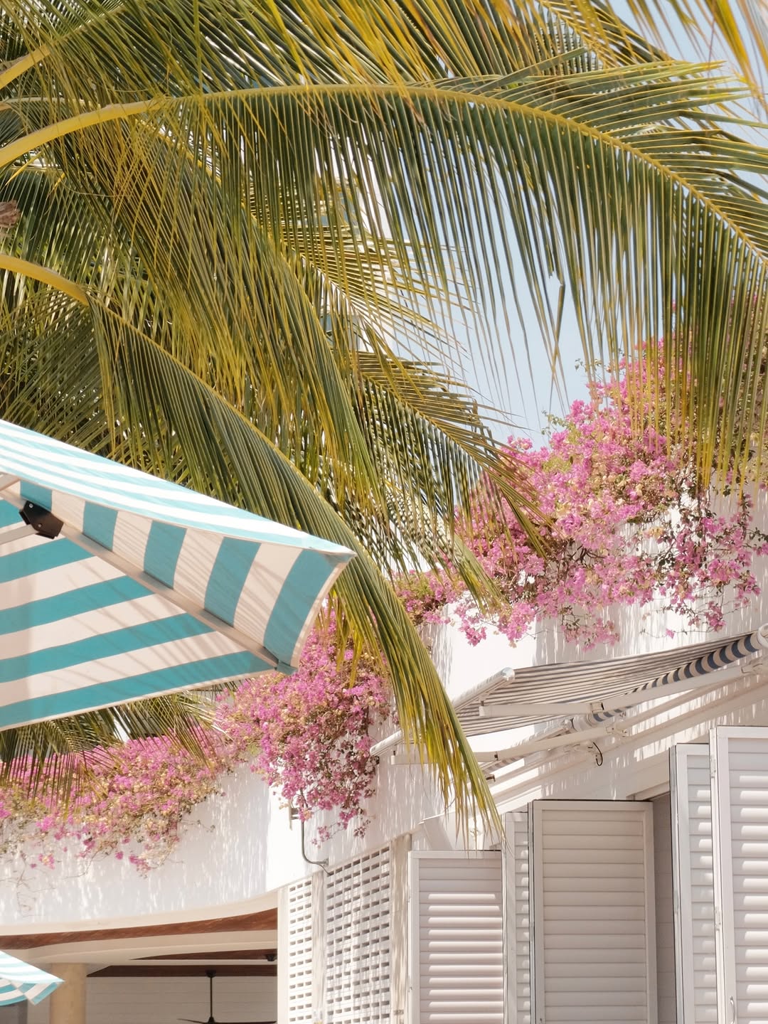 Fujifilm FINEPIX L30